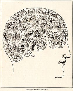 250px phrenologypix