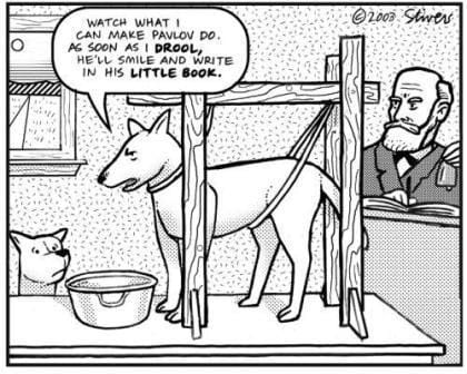 Stivers pavlovs dog