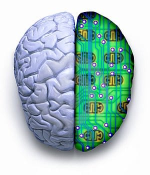 Cerebroordenador2