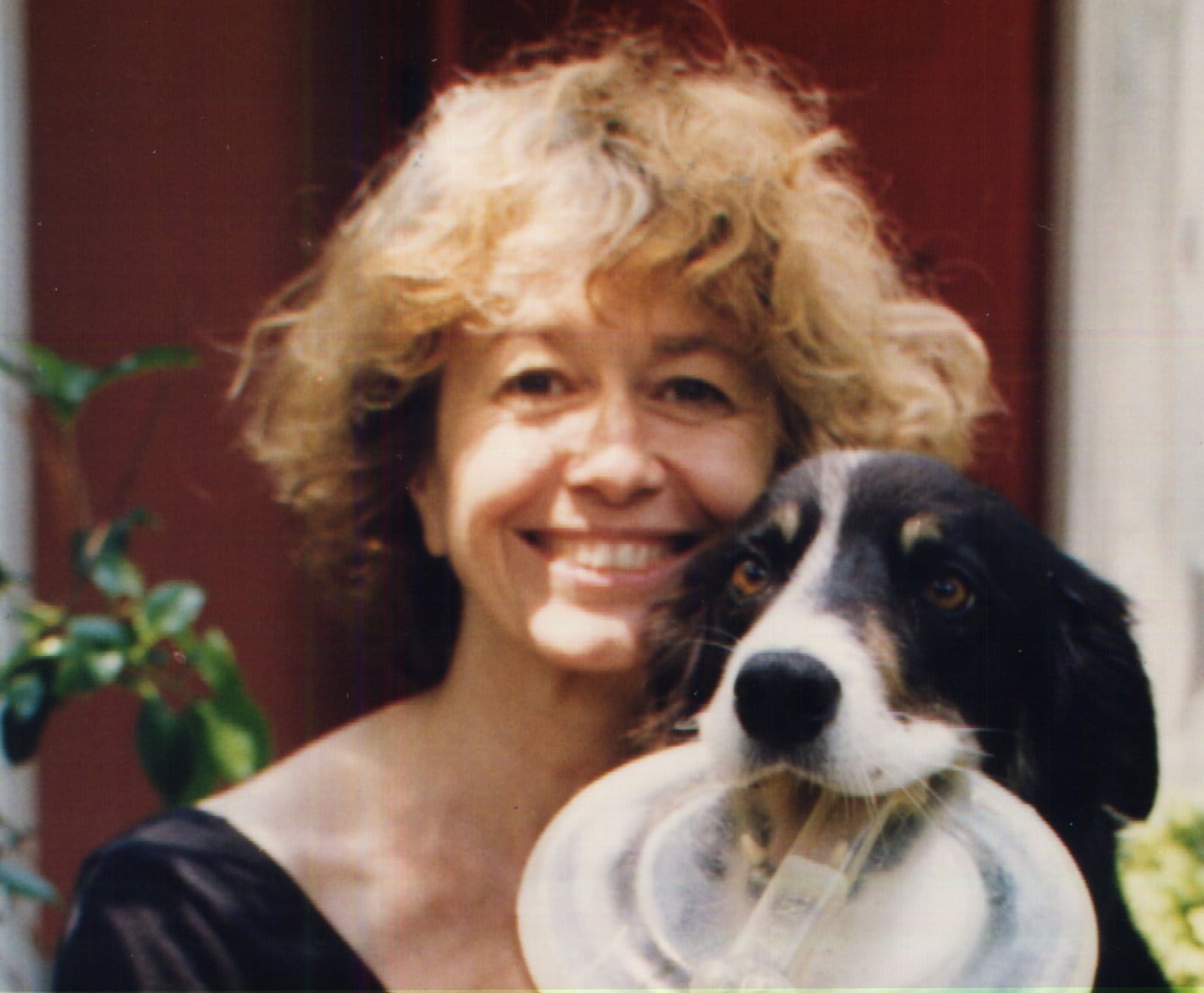 Polly 26 annie