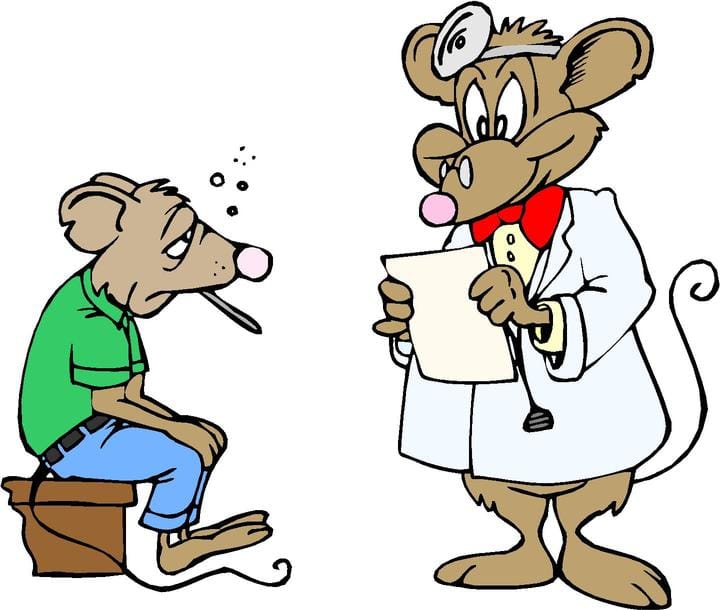 Ratonenfermo