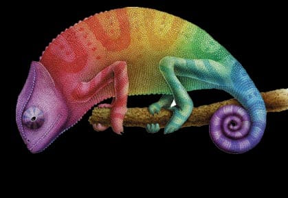 Camaleon
