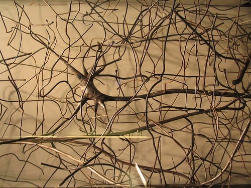 Redneuronal