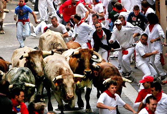 Sanferminpicture2