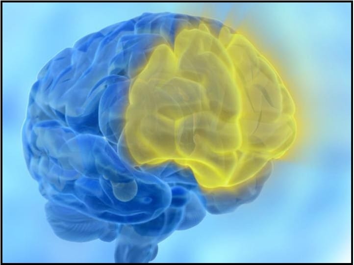 Lobulofrontal