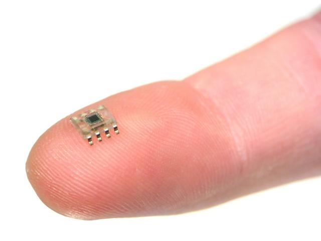 Microchip