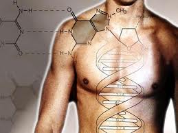 Genes
