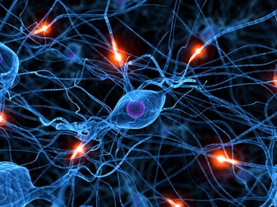 Redneuronal