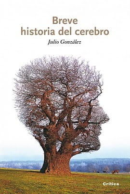 Brevehistoriadelcerebro