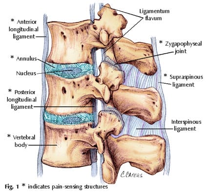 estructuras sensibles