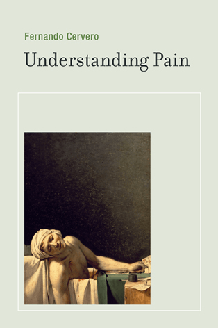 understanding pain