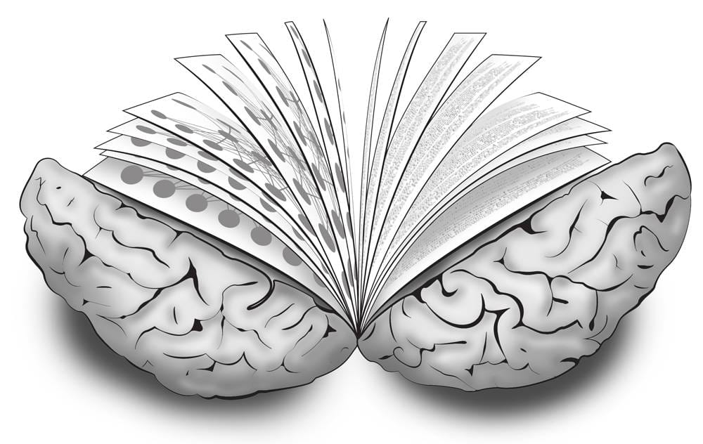 brain-book