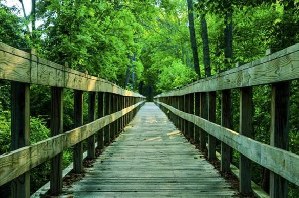 Explorandodesde la psicología